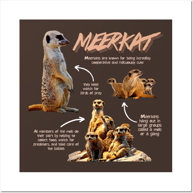 Meerkat Fun Facts Wall Art by Animal Facts and Trivias